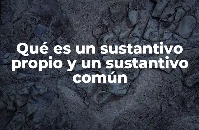 Qué es un Sustantivo Propio y un Sustantivo Común