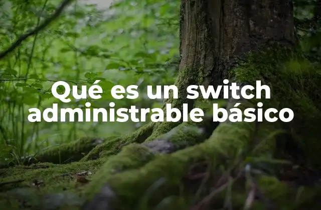 Qué es un Switch Administrable Básico
