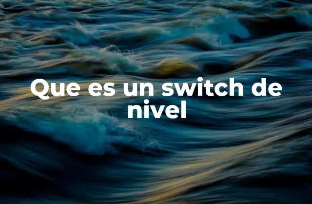 Que es un Switch de Nivel