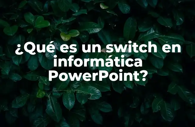 ¿qué es un Switch en Informática Powerpoint?
