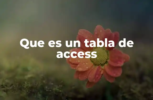 Que es un Tabla de Access
