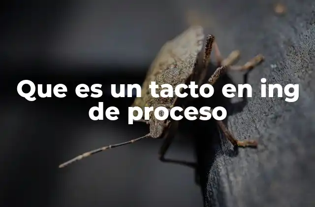 Que es un Tacto en Ing de Proceso