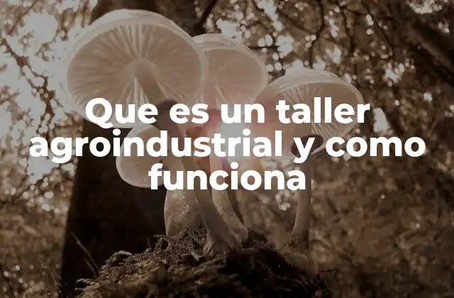 Que es un Taller Agroindustrial y como Funciona