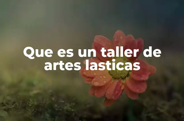 Que es un Taller de Artes Lasticas