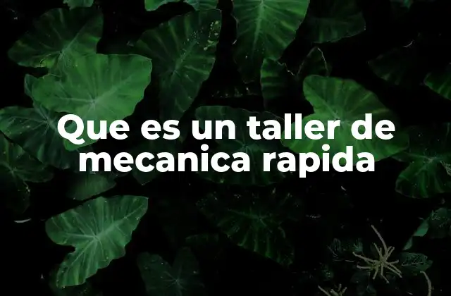 Que es un Taller de Mecanica Rapida