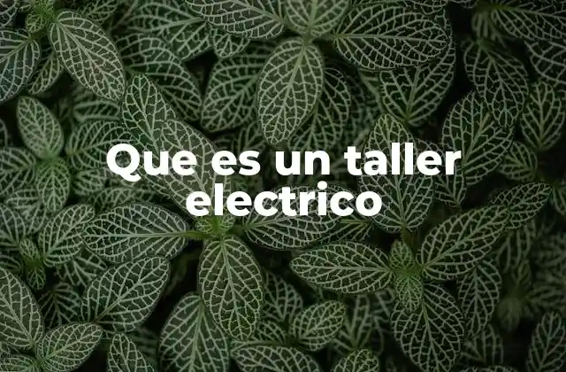 Que es un Taller Electrico