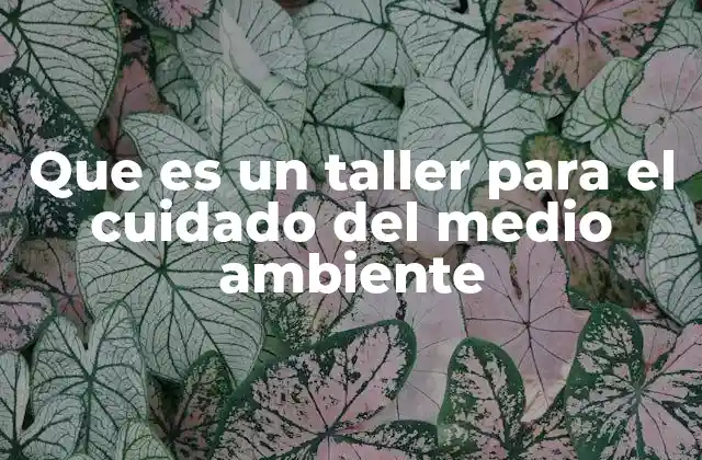 Que es un Taller para el Cuidado Del Medio Ambiente