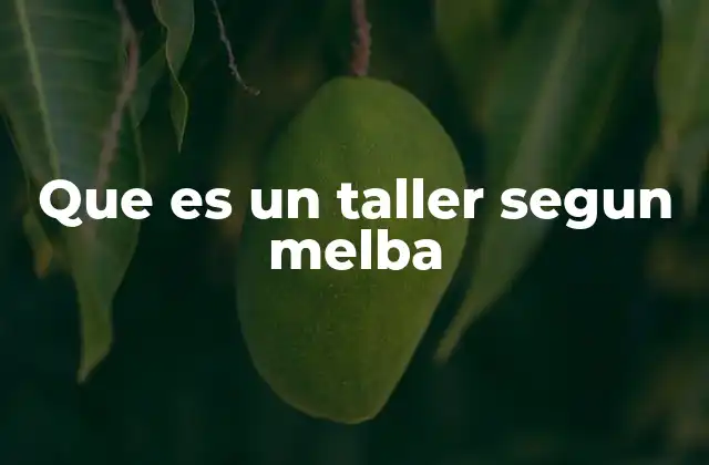 Que es un Taller Segun Melba