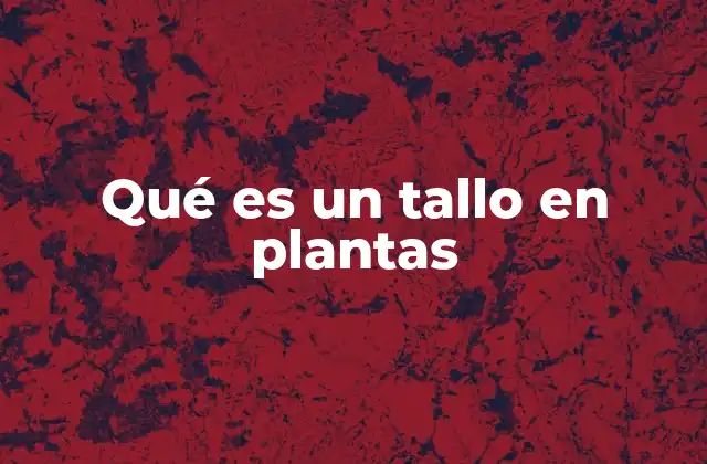 Qué es un Tallo en Plantas