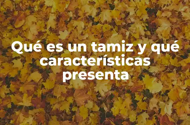 El tamiz como herramienta de separación y uniformidad