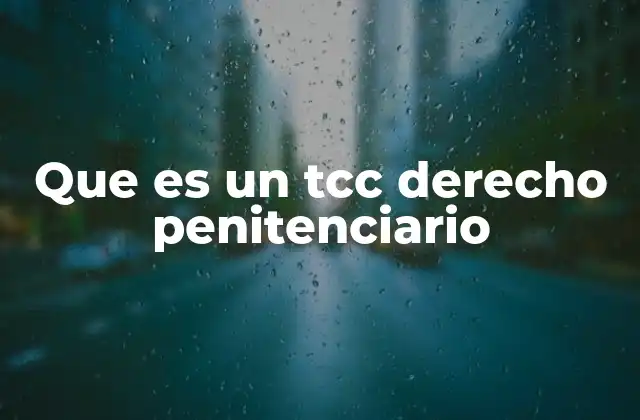 Que es un Tcc Derecho Penitenciario