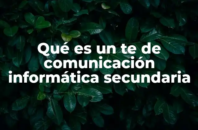 Qué es un Te de Comunicación Informática Secundaria