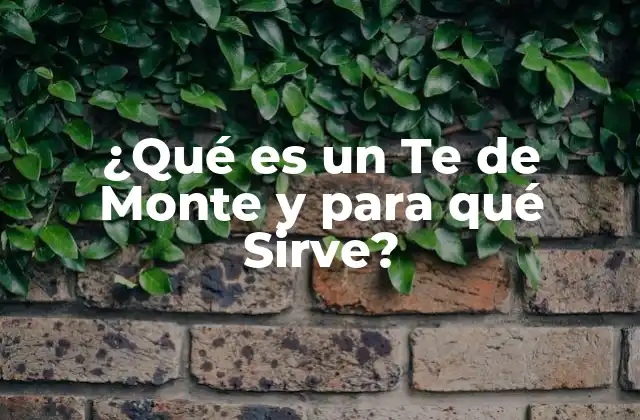 ¿qué es un Te de Monte y para Qué Sirve?