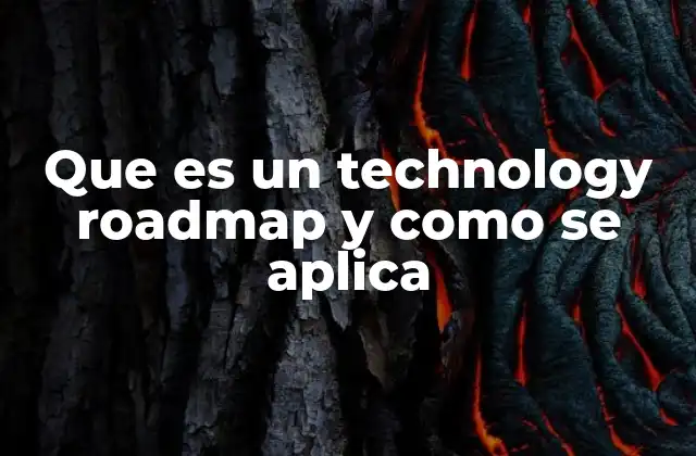 Que es un Technology Roadmap y como Se Aplica