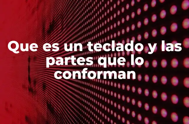 Que es un Teclado y las Partes que Lo Conforman