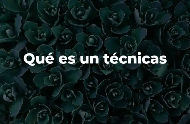 Qué es un Técnicas