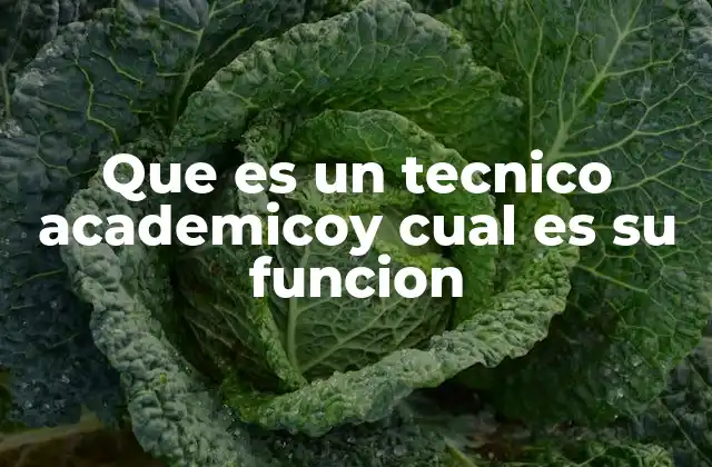 Que es un Tecnico Academicoy Cual es Su Funcion