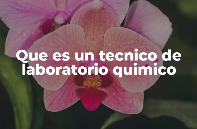 Que es un Tecnico de Laboratorio Quimico