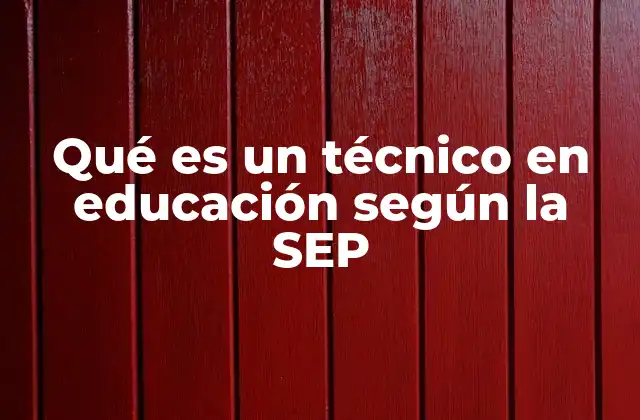 El papel del técnico en educación en el sistema escolar mexicano