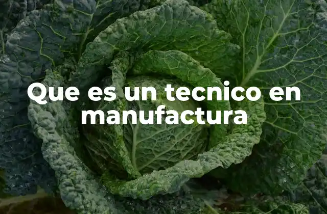 Que es un Tecnico en Manufactura