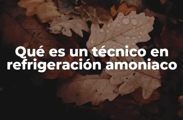 El rol del profesional en sistemas de refrigeración industrial