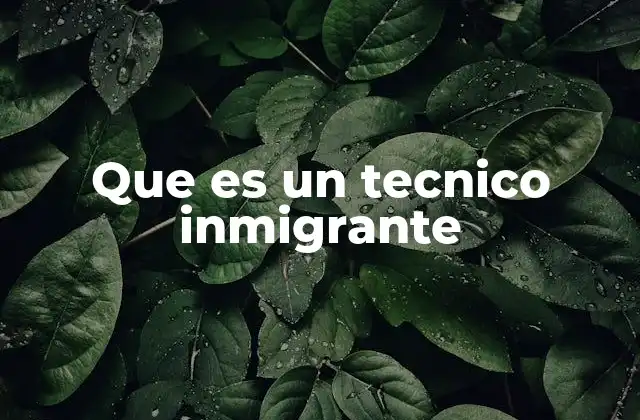Que es un Tecnico Inmigrante