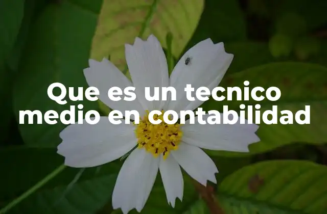 Que es un Tecnico Medio en Contabilidad