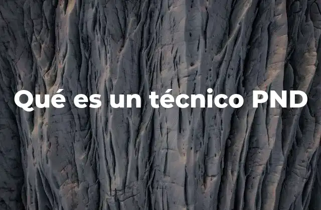 Qué es un Técnico Pnd