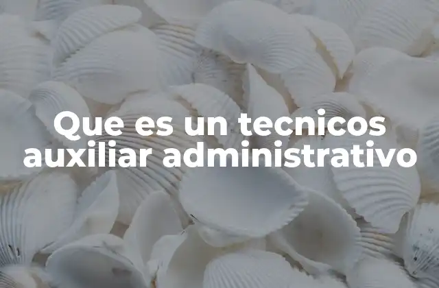 Que es un Tecnicos Auxiliar Administrativo