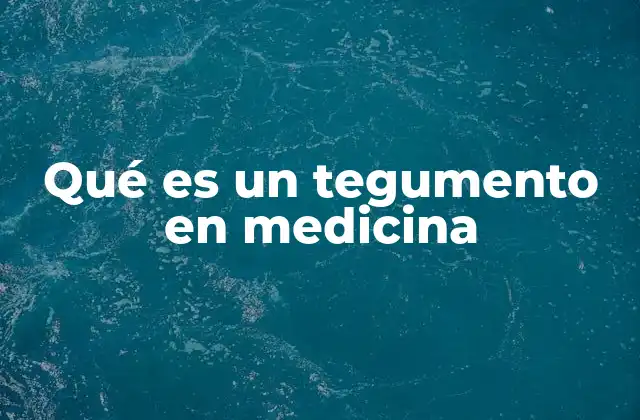 Qué es un Tegumento en Medicina