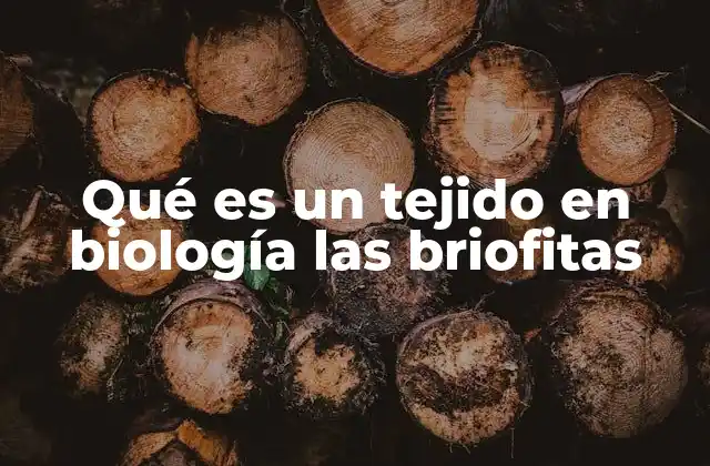 Qué es un Tejido en Biología las Briofitas