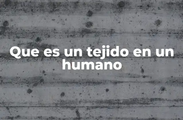 Los componentes básicos de la estructura tisular
