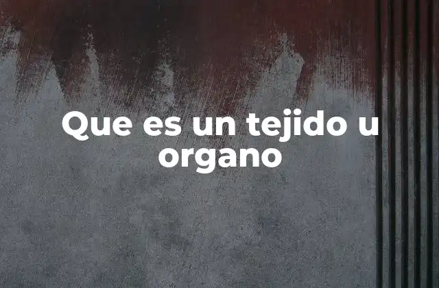 La base estructural de los seres vivos