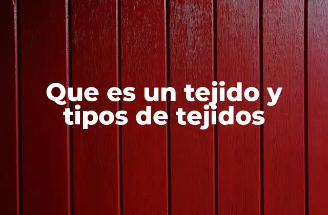 Que es un Tejido y Tipos de Tejidos