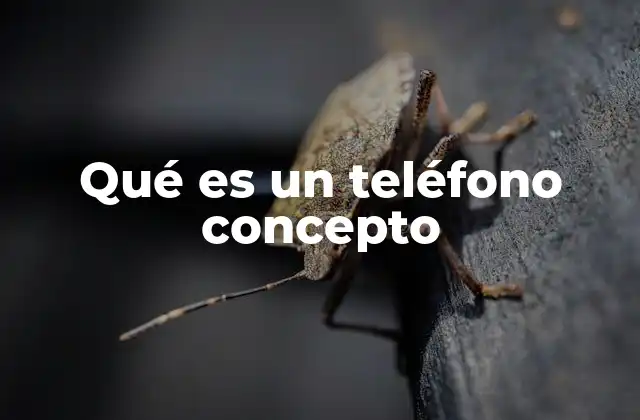 Qué es un Teléfono Concepto