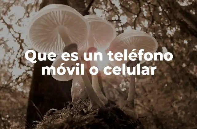 Que es un Teléfono Móvil o Celular