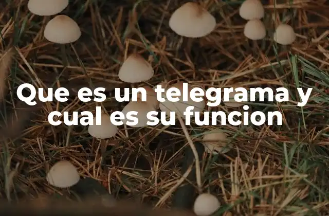 La importancia de los telegramas en la historia de la comunicación
