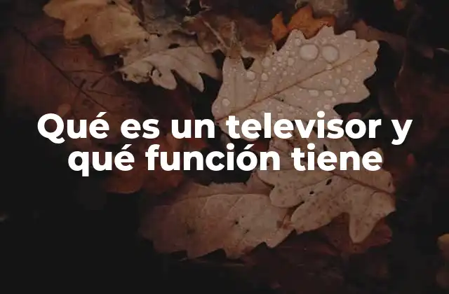 Qué es un Televisor y Qué Función Tiene