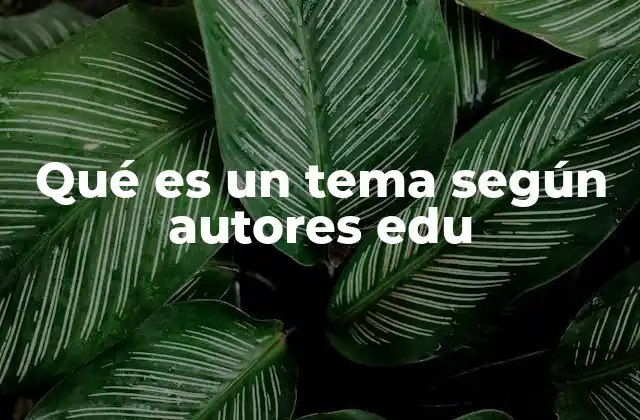 Qué es un Tema según Autores Edu