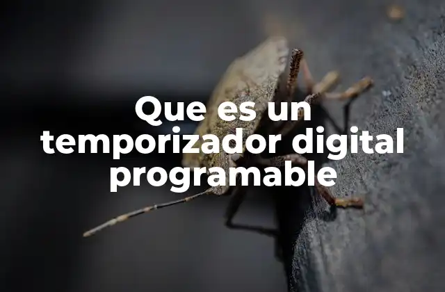 Que es un Temporizador Digital Programable