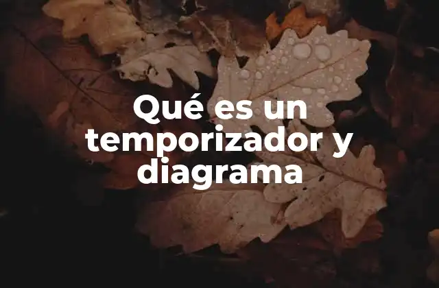 Qué es un Temporizador y Diagrama