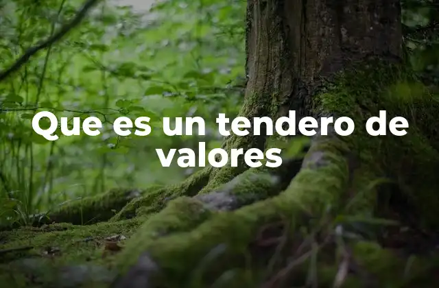 Que es un Tendero de Valores