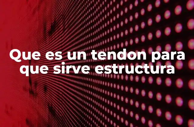 Estructura anatómica y tejido que compone un tendón