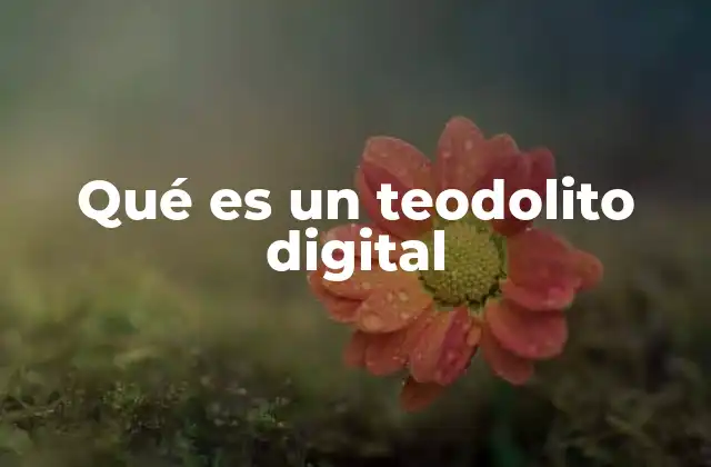 Qué es un Teodolito Digital