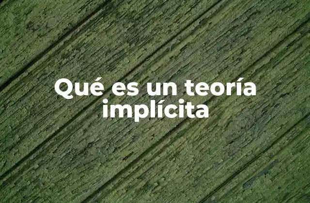 Qué es un Teoría Implícita