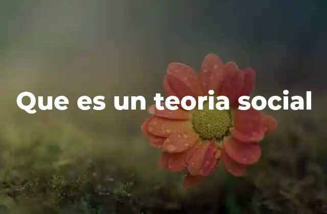 Que es un Teoria Social