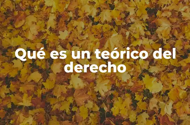 Qué es un Teórico Del Derecho