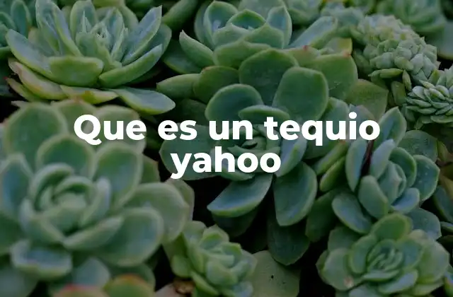 Que es un Tequio Yahoo