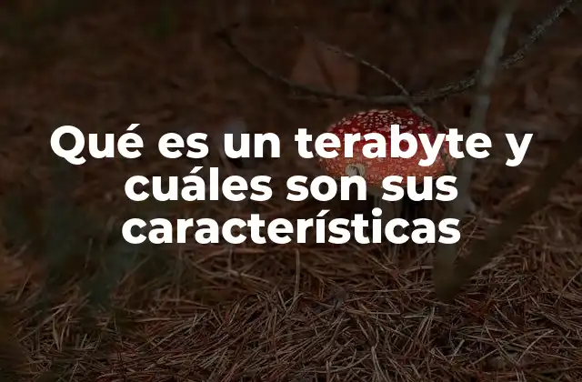 Qué es un Terabyte y Cuáles Son Sus Características 2 Cómo se relaciona un terabyte con otras unidades de almacenamiento