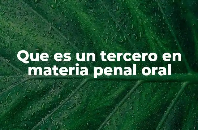 Que es un Tercero en Materia Penal Oral